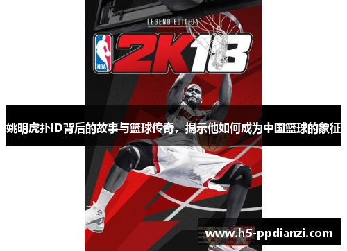 姚明虎扑ID背后的故事与篮球传奇，揭示他如何成为中国篮球的象征