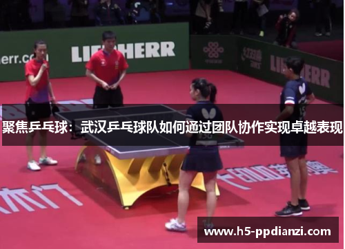 聚焦乒乓球：武汉乒乓球队如何通过团队协作实现卓越表现