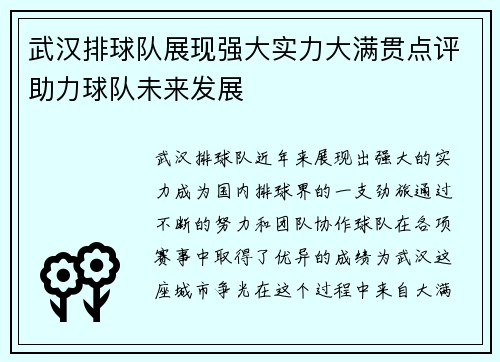武汉排球队展现强大实力大满贯点评助力球队未来发展