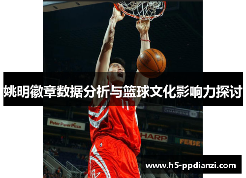 姚明徽章数据分析与篮球文化影响力探讨
