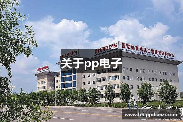关于pp电子